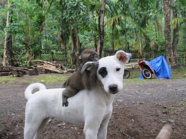 Kilgore's Nocturnal Exposition