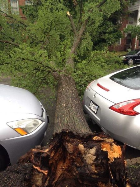 Kilgore's Nocturnal Exposition