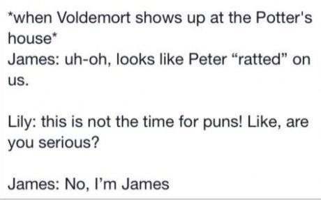 pun document - when Voldemort shows up at the Potter's house James uhoh, looks Peter "ratted" on us. Lily this is not the time for puns! , are you serious? James No, I'm James