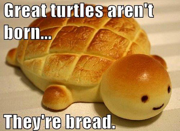pun food meme - Great turtles aren't born... They're bread