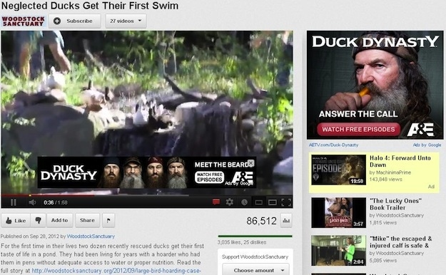 youtube ad video - Neglected Ducks Get Their First Swim Wandstark Subscribe 27 videos Duck Dynasty Answer The Call Watch Free Episodes Ar Hetv.comDuck Dynasty Ads by Google Meet The Beardes Donary Episode Halo 4 Forward Unto Dawn by chime 143,848 views Ii