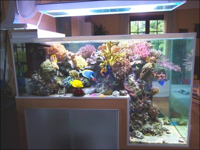 30 Amazing Aquariums