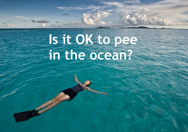 perplexing questions funny - Is it Ok to pee in the ocean?