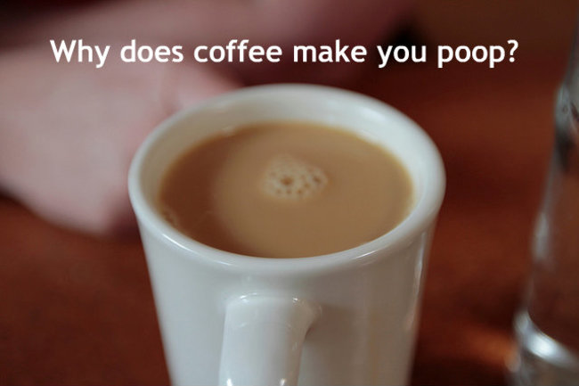 latte - Why does coffee make you poop?