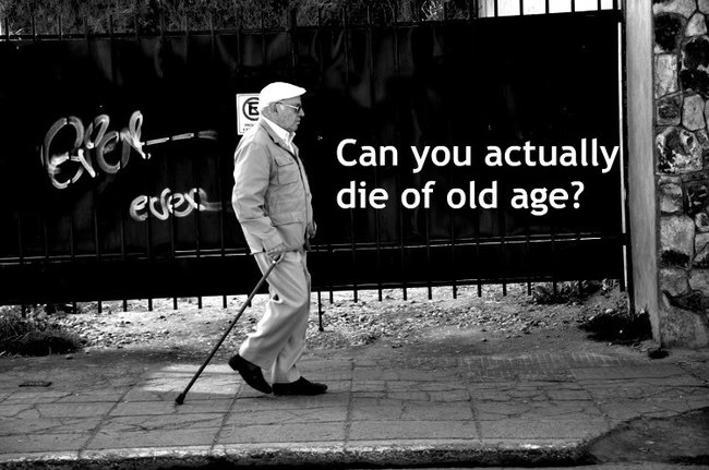 photograph - E Can you actually die of old age? eter