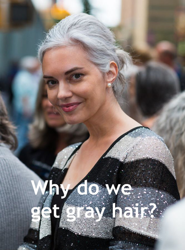 gray hair model - Why do we.... get gray hair?