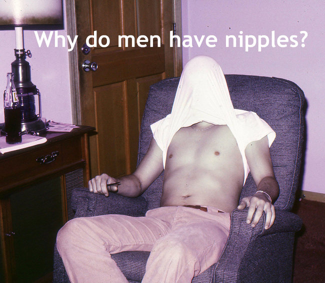 girl - I. Why do men have nipples?
