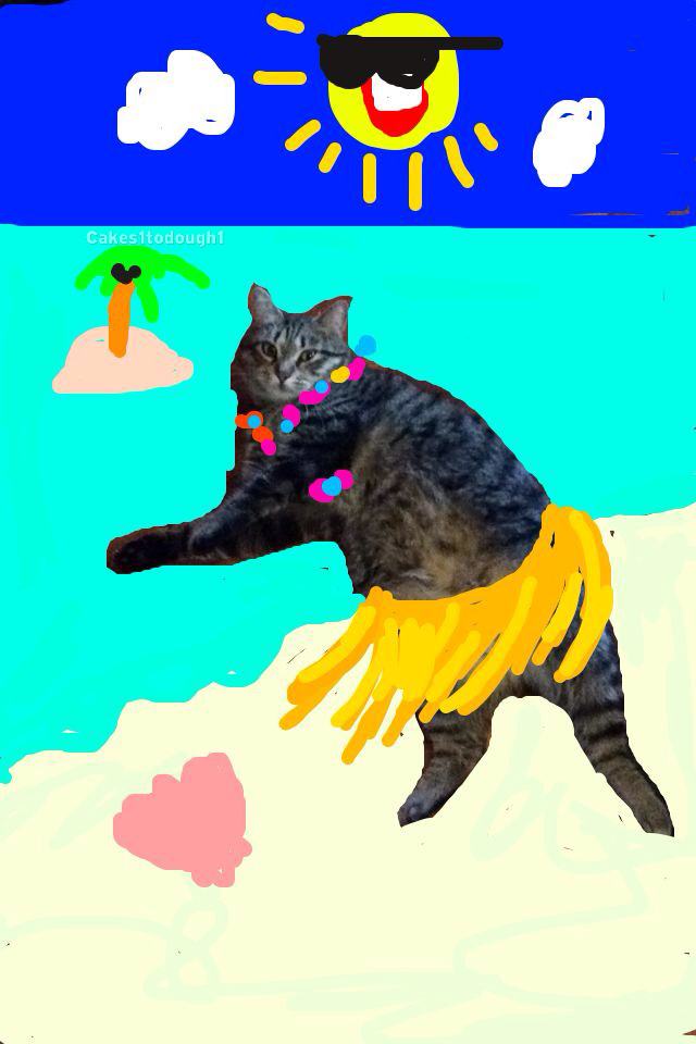 Guy Draws Over Pics of Cats on Snapchat, Results Are Magnificent