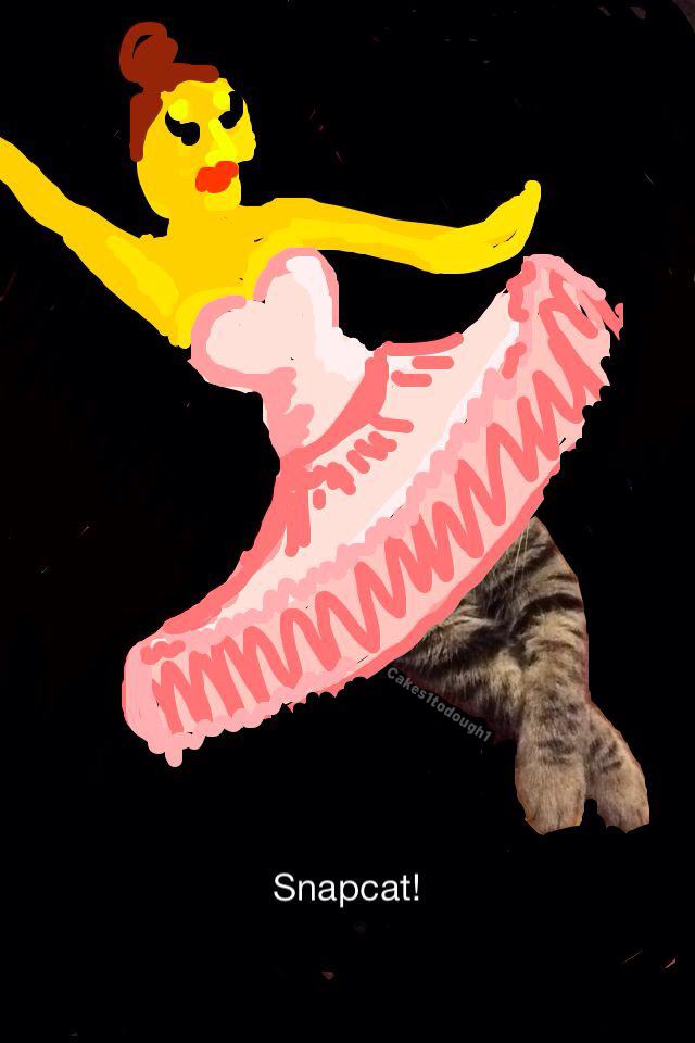 Guy Draws Over Pics of Cats on Snapchat, Results Are Magnificent
