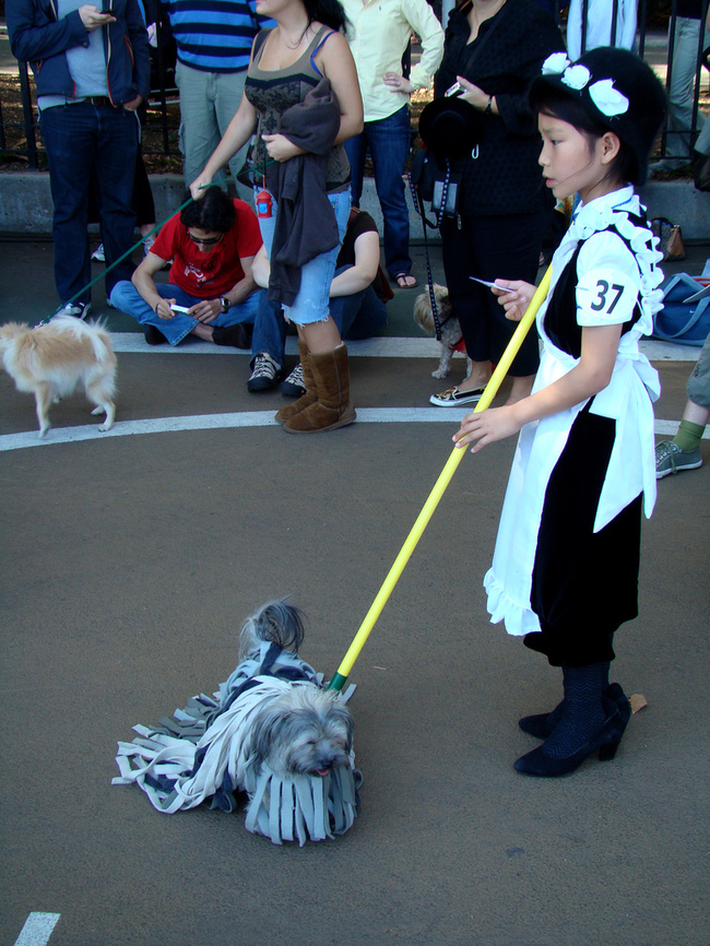 costume dog and human halloween costumes