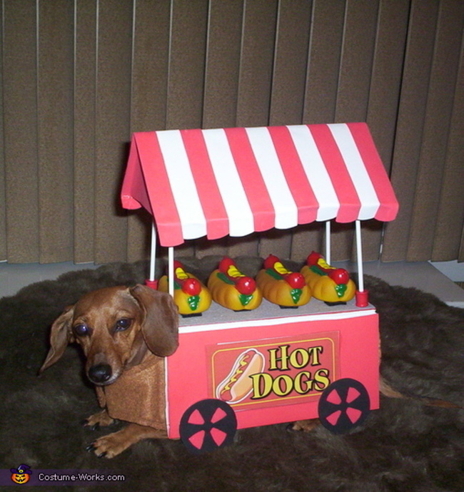 costume home made hot dog cart - Hot Hdolo CostumeWorks.com