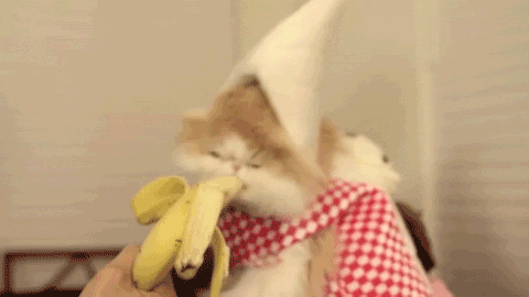 The banana chew.