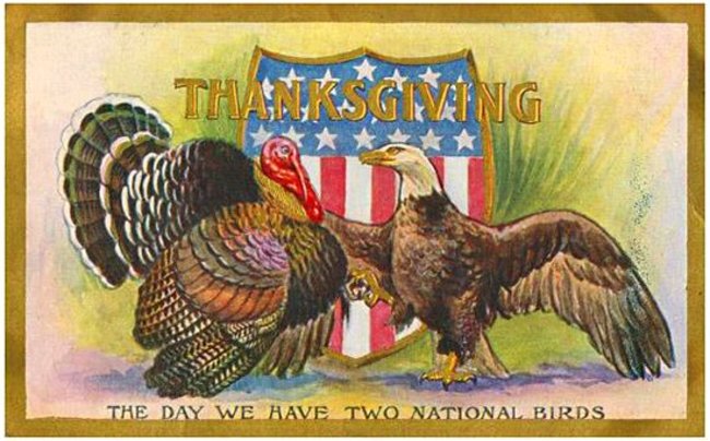 No, the turkey was not in the running for national bird. - Benjamin Franklin never proposed the turkey as a symbol for America. What he did was write a letter to his daughter in which he praised the turkey as being "a much more respectable bird" than the bald eagle. Bald eagles frequently scavenge on the bodies of dead animals, and steal food from each other and other predators. Ben dont play that.