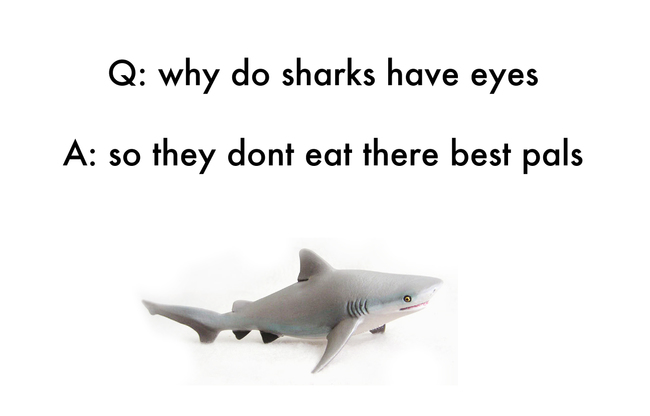 bad jokes for kids - Q why do sharks have eyes A so they dont eat there best pals