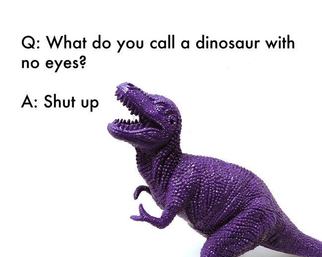 jokes by 5 year olds - Q What do you call a dinosaur with no eyes? A Shut up