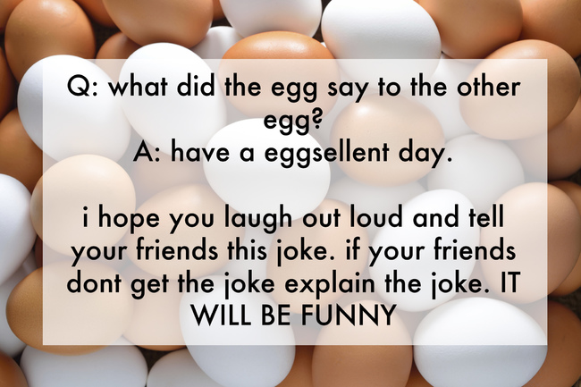 jokes only kids will understand - Q what did the egg say to the other egg? A have a eggsellent day. i hope you laugh out loud and tell your friends this joke. if your friends dont get the joke explain the joke. It Will Be Funny