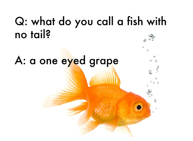 jokes by kids - Q what do you call a fish with no tail? A a one eyed grape