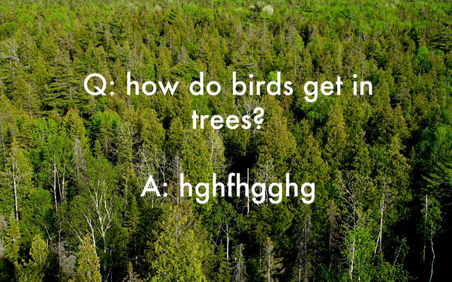 jokes made by kids - Q how do birds get in trees? A hghfhgghg