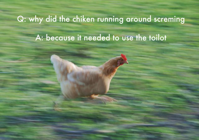 blurry running meme - Q why did the chiken running around screming A because it needed to use the toilot