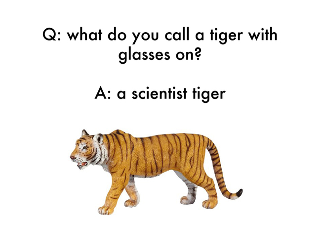 jokes for 4 year olds - Q what do you call a tiger with glasses on? A a scientist tiger