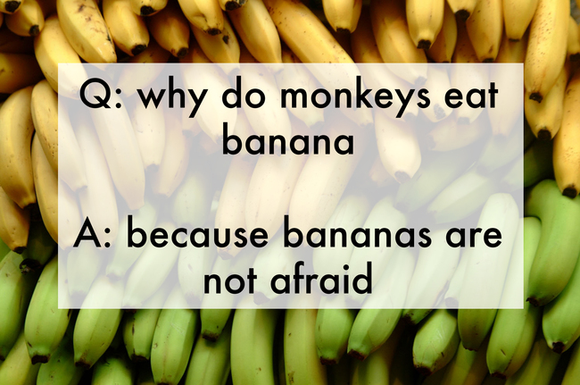joke written by kids - Q why do monkeys eat banana A because bananas are not afraid
