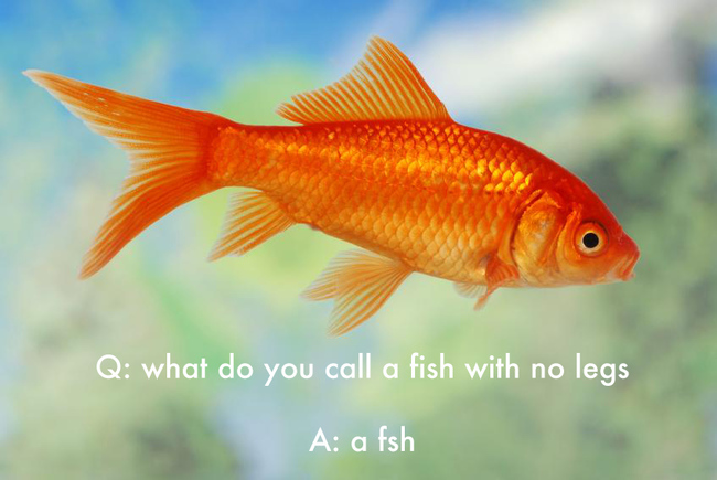 kids jokes memes - Q what do you call a fish with no legs A a fsh