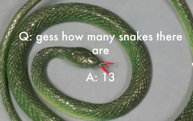 jokes by kids meme - Q gess how many snakes there are A 13