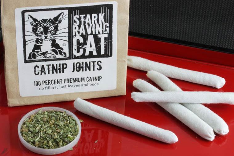 catnip treats - Catnip Joints 100 Percent Premium Catnip no fillers, just leaves and buds