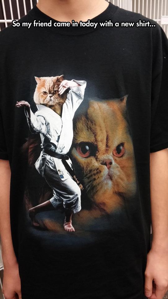 karate cat shirt - So my friend came in today with a new shirt...