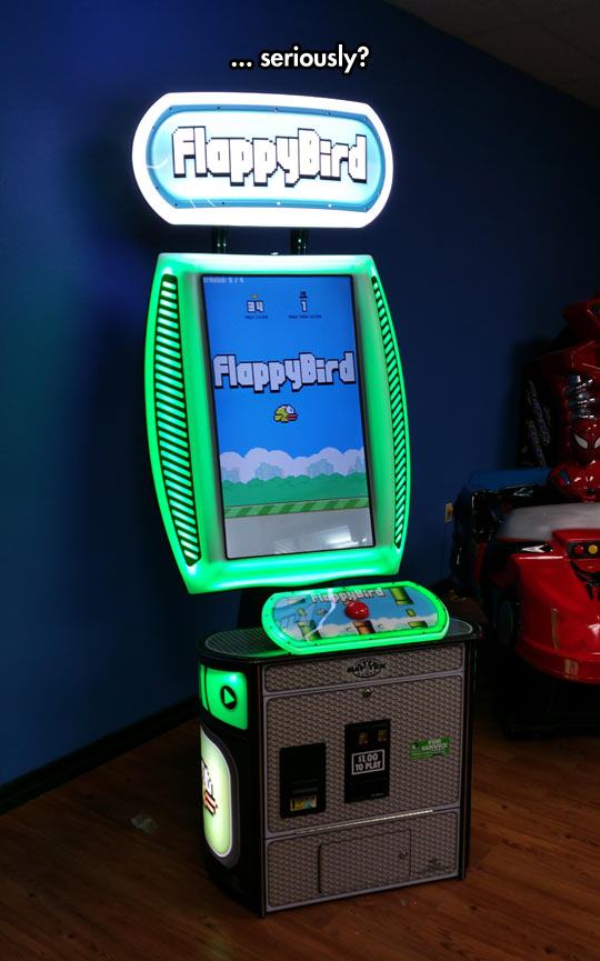 flappy bird arcade machine - ... seriously? Flappy Bird Flappybird Www