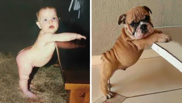 These 17 Things Look Exactly Like Something Else