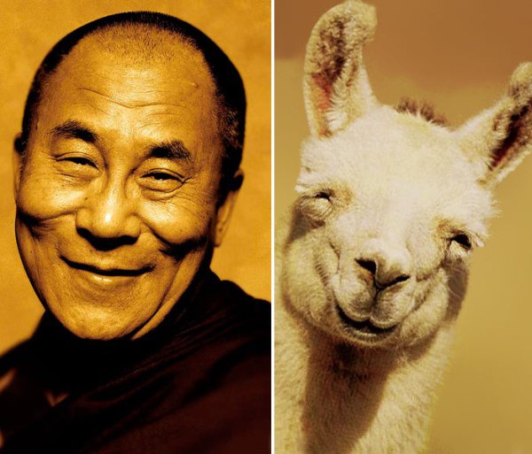 The Dalai Lama and this lama