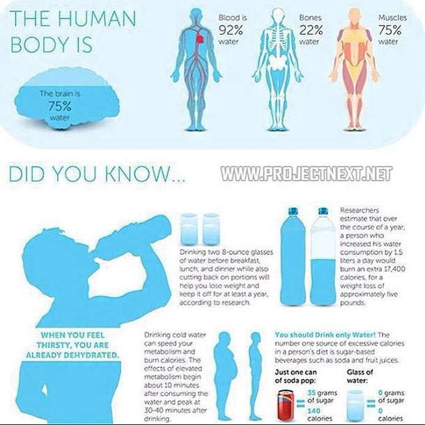 25 Infographics That Will Quench Your Thirst For Knowledge