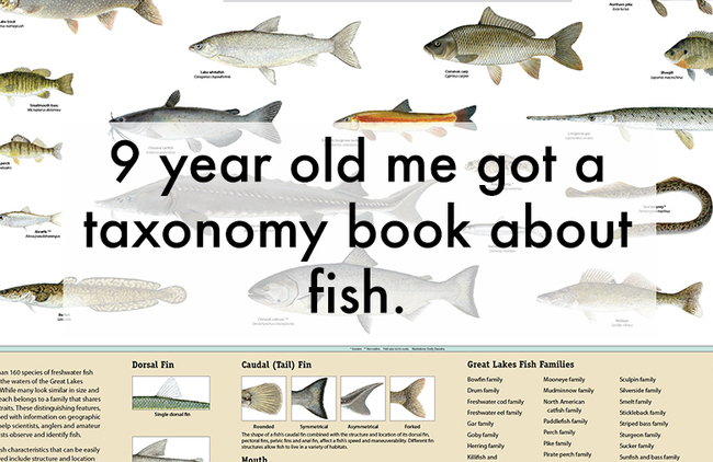great lake invasive species - x 9 year old me got a taxonomy book about fish. Dorsal Fin Caudal Tail Fin Silverside 160 species of freshwater fish the waters of the Great Lakes While many look similar in size and each belongs to a family that shoes its. T