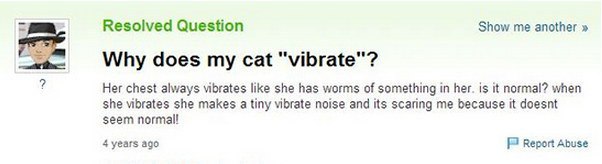 website - Resolved Question Show me another >> Why does my cat "vibrate"? Her chest always vibrates she has worms of something in her. is it normal? when she vibrates she makes a tiny vibrate noise and its scaring me because it doesnt seem normal! 4 years