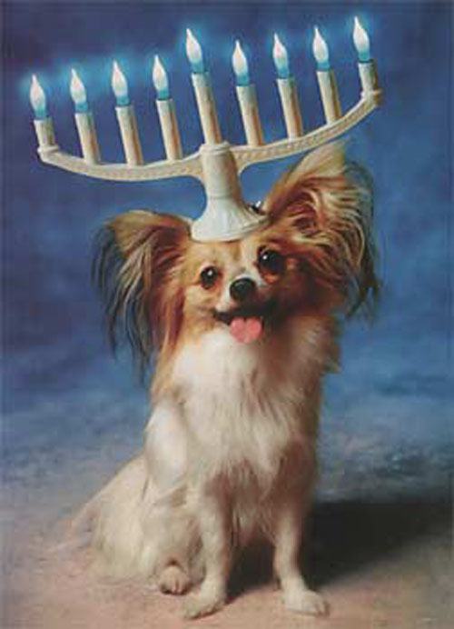 18 People and Animals Who Are Doing Hanukkah Right