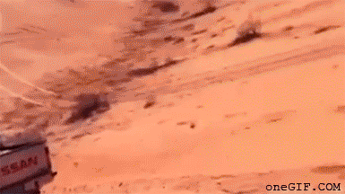 Kilgore's Nocturnal Exposition