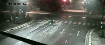 Kilgore's Nocturnal Exposition