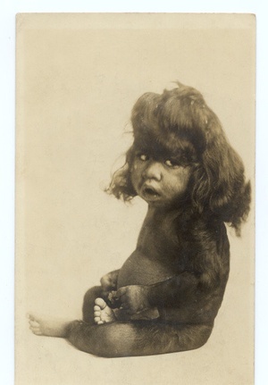 Kilgore's Nocturnal Exposition