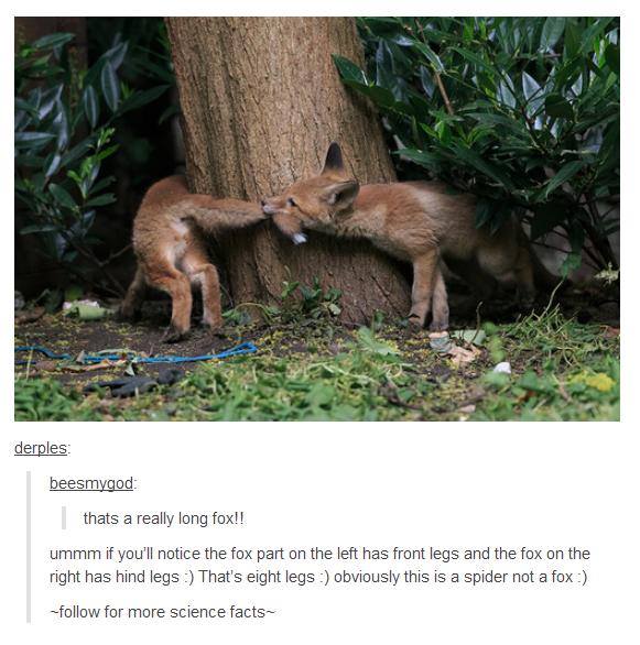 Kilgore's Nocturnal Exposition