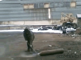 Kilgore's Nocturnal Exposition