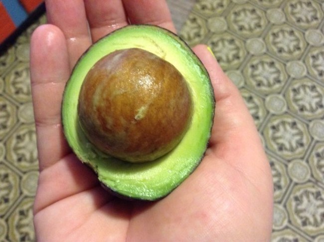 avocado big seed