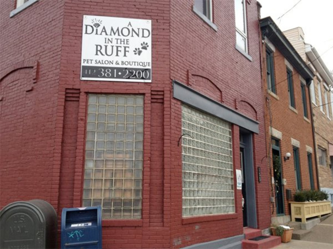 brick - Diamond Ruff In The ele Pet Salon & Boutique 11 381.2200