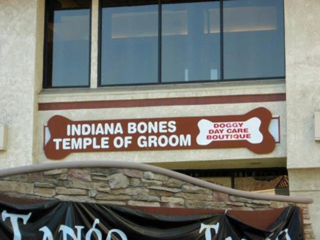 funny business names - Indiana Bones Temple Of Groom Doggy Day Care Boutique ToN