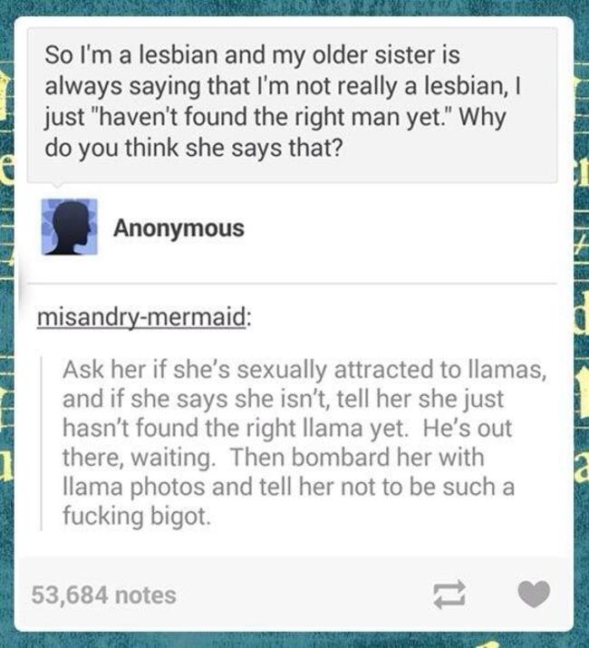 tumblr - team mission statement examples - Wy So I'm a lesbian and my older sister is always saying that I'm not really a lesbian, I just "haven't found the right man yet." Why do you think she says that? Anonymous misandrymermaid Ask her if she's sexuall