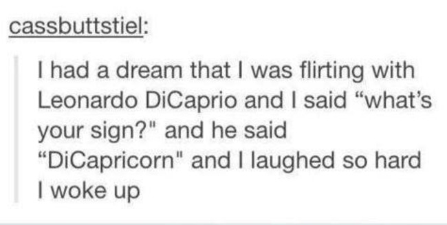 tumblr - funny quotes and sayings - cassbuttstiel I had a dream that I was flirting with Leonardo DiCaprio and I said "what's your sign?" and he said "DiCapricorn" and I laughed so hard I woke up