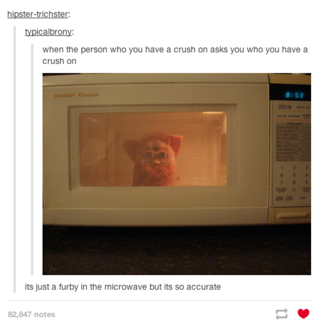 tumblr - rugrats tumblr posts - hipstertrichster typicalbrony when the person who you have a crush on asks you who you have a crush on Sharp Corousel its just a furby in the microwave but its so accurate 82,847 notes