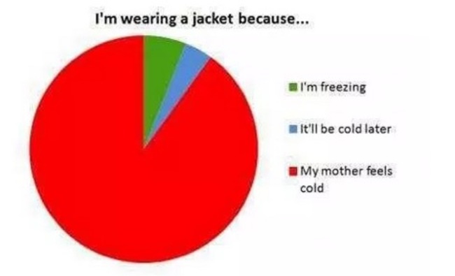 35 Universal Truths Depicted By The Most Pointless Pie Charts
