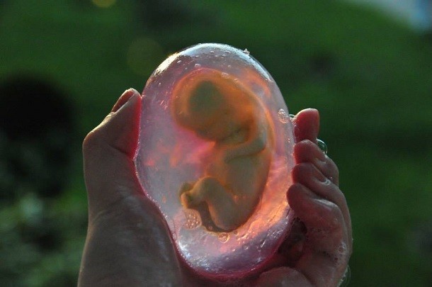A fetus bar of hand soap