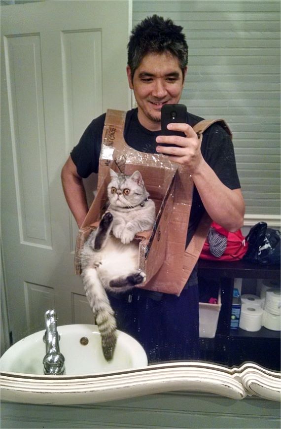 cool pic cat chest harness - Car